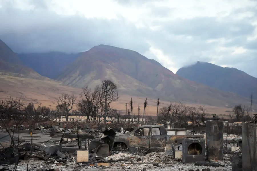 World Time Todays: A Tampa-based Organization is Accepting Donations to Help Save Maui’s Wildfires
