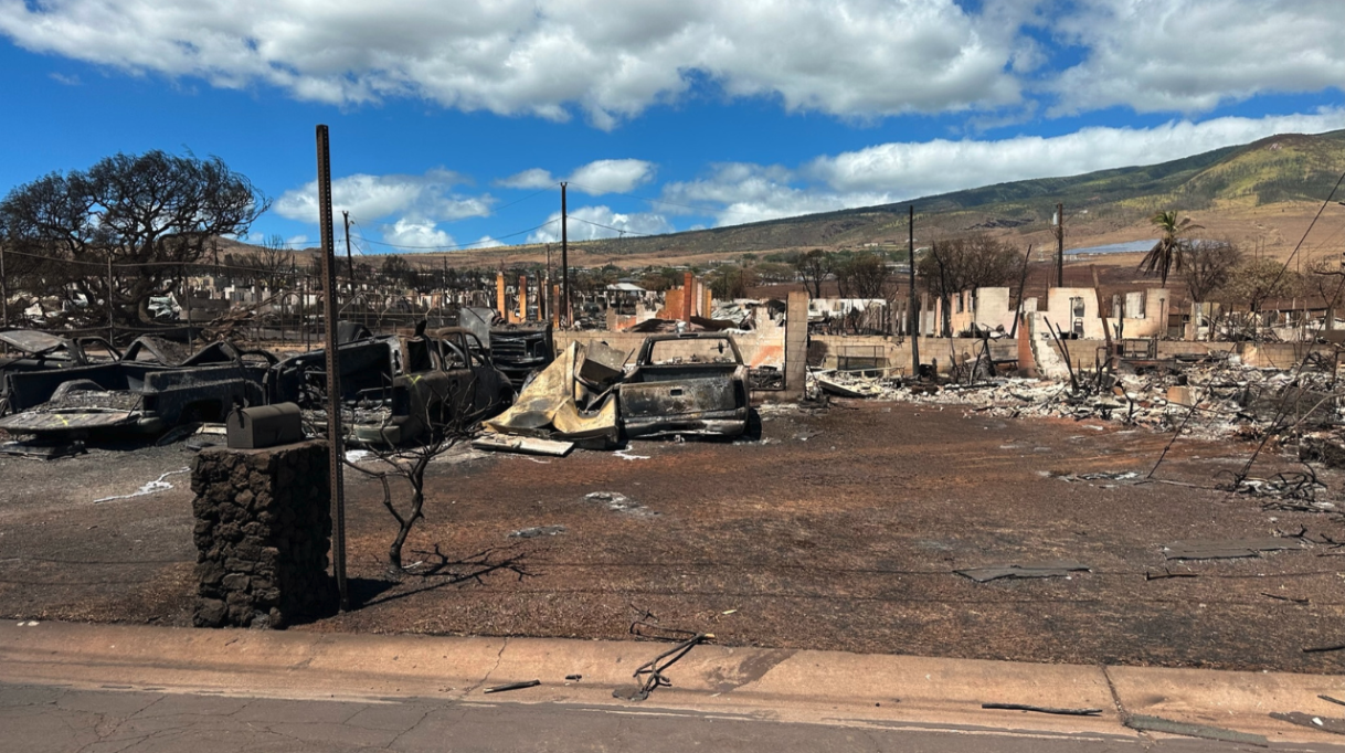 ABC News: Project DYNAMO Concerned About Initial Government Response to Maui Fires